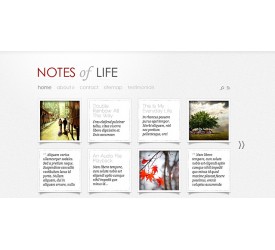 DailyNotes